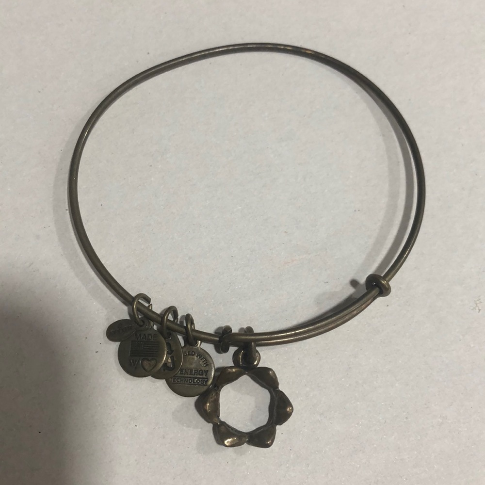 Alex and ani crown
